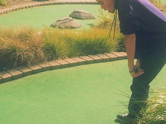 Crow's Nest Mini Golf